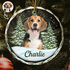 Personalised Glass Christmas Ornament with Photo & Name