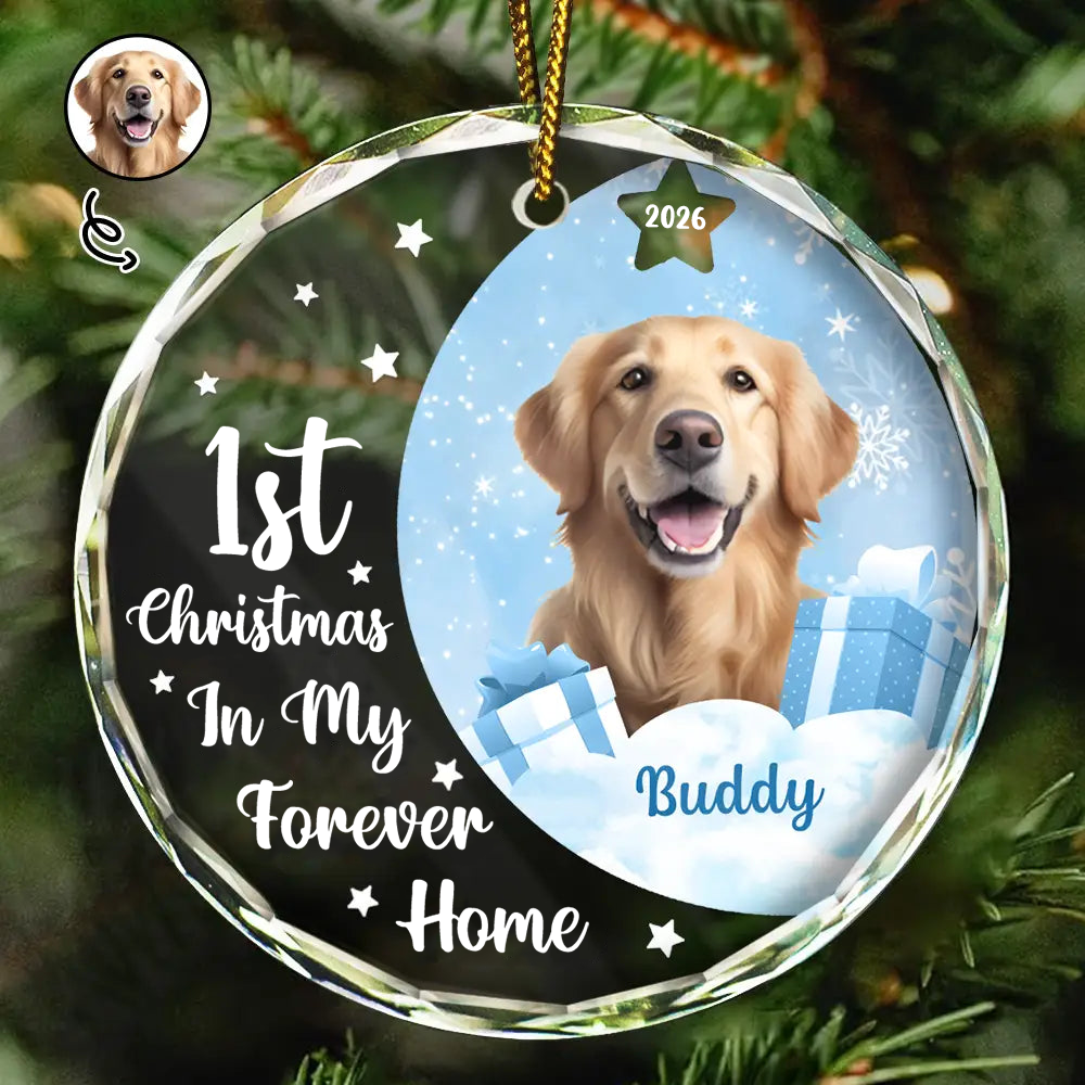Personalised Pet Glass Christmas Ornament - First Christmas