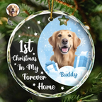 Personalised Pet Glass Christmas Ornament - First Christmas