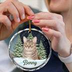 Personalised Glass Christmas Ornament with Photo & Name