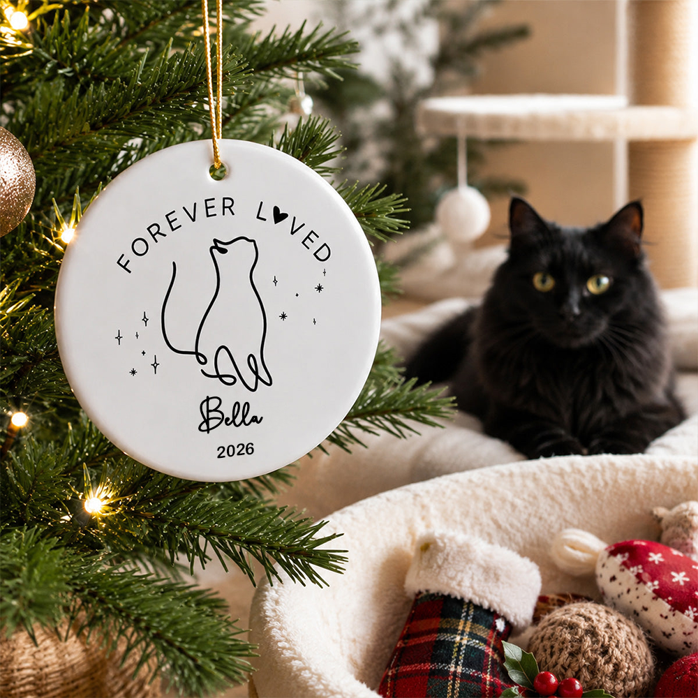 Personalised Pet Memorial Ceramic Christmas Ornament with Name