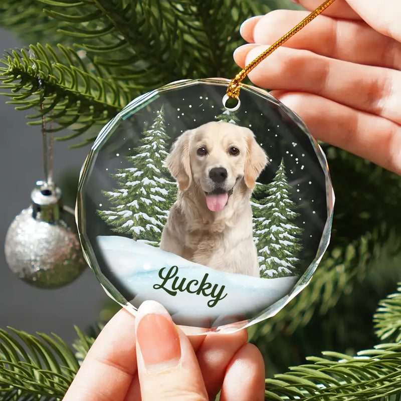 Personalised Glass Christmas Ornament with Photo & Name