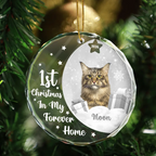 Personalised Pet Glass Christmas Ornament - First Christmas