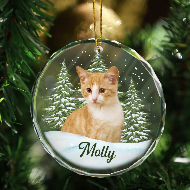 Personalised Glass Christmas Ornament with Photo & Name