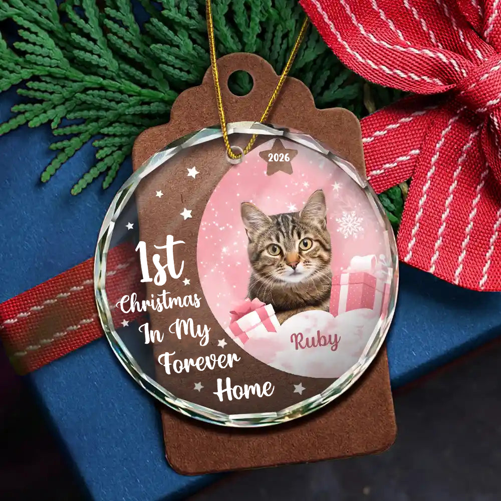 Personalised Pet Glass Christmas Ornament - First Christmas